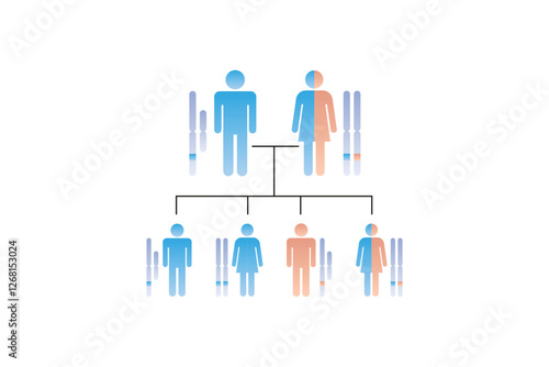 X-Linked Recessive Inheritance Science Design. Vector Illustration.