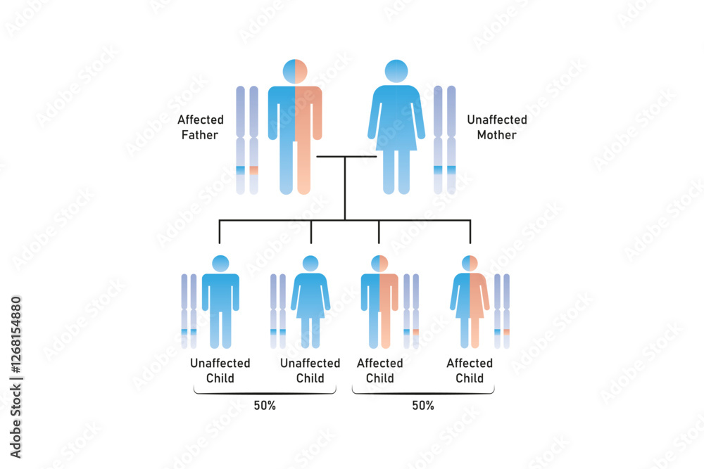 Autosomal Dominant Inheritance Science Design. Vector Illustration. Autosomal Dominant Inheritance Science Design. Vector Illustration.