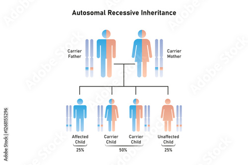 Autosomal Recessive Inheritance Science Design. Vector Illustration.