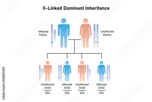 X-Linked Dominant Inheritance Science Design. Vector Illustration.