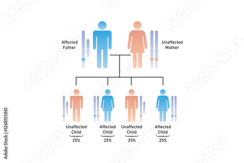 X-Linked Dominant Inheritance Science Design. Vector Illustration.