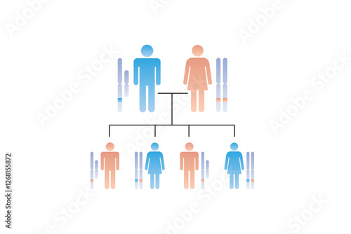 X-Linked Dominant Inheritance Science Design. Vector Illustration.