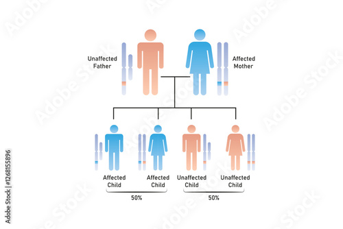 X-Linked Dominant Inheritance Science Design. Vector Illustration.