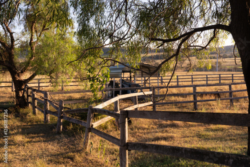 Rustic Australian farm scene at sunrise featuring an old tractor, wooden fences, and golden light. A peaceful rural landscape capturing country life and heritage.