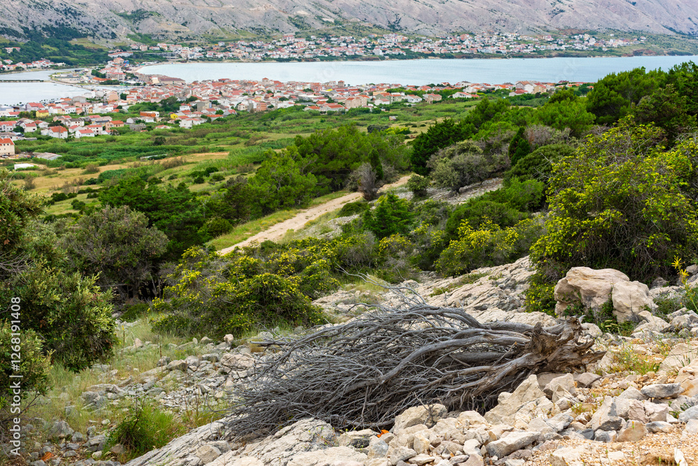 Chorwacja, krajobraz wyspy Pag