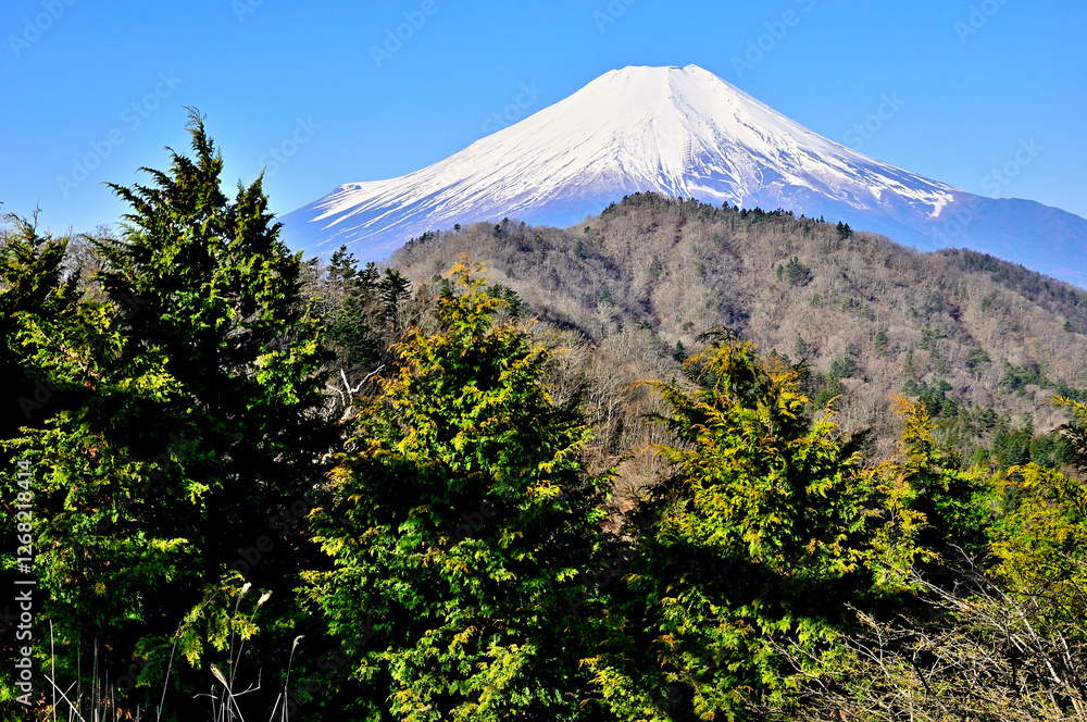 Fototapeta premium 道志山塊の奥ノ岳 送電鉄塔からの富士山の展望 