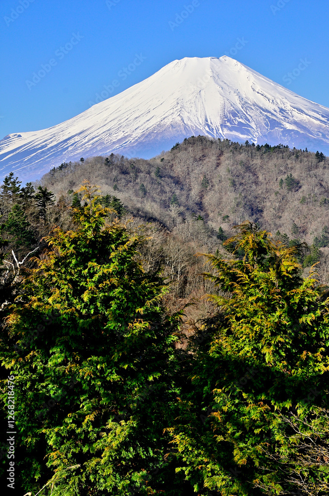 Fototapeta premium 道志山塊の奥ノ岳 送電鉄塔からの富士山の展望 