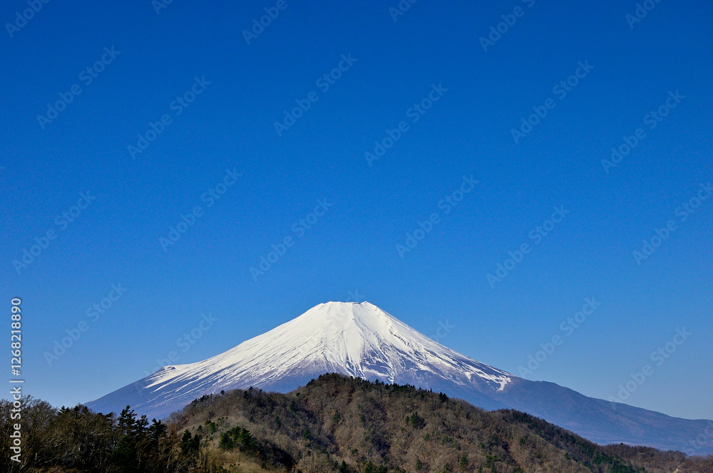 道志山塊の奥ノ岳にある送電鉄塔の展望台から富士山と青空のコピースペース
道志山塊の奥ノ岳にある送電鉄塔の展望台から富士山と青空のコピースペース
