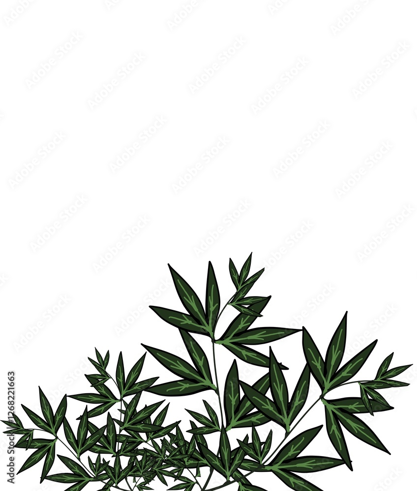 Obraz premium rosemary on white background and copy space for text