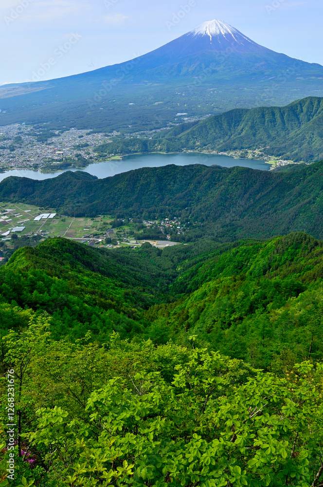 Obraz premium 春の御坂山地 新緑の中藤山より富士山と河口湖を望む 