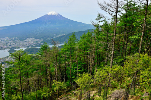 春の御坂山地　新緑の新道峠　FUJIYAMAツインテラスより望む富士山と河口湖
 photo