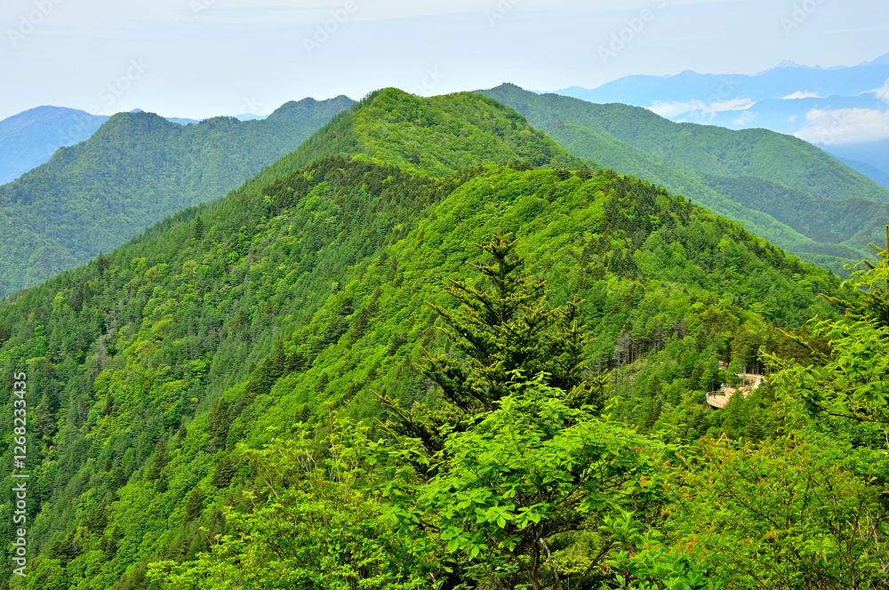 Obraz premium 新緑の御坂山地 破風山より左から毛無山、十二ヶ岳、雪頭ヶ岳、鬼ヶ岳、中藤山、節刀ヶ岳 