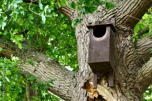Wooden birdhouse for owls on a tree in summer, Warwickshire, England, UK
