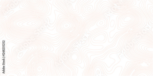 Topography wave line grid map. white wave line geography landscape Topo contour map on white background. White wave paper curved reliefs abstract background.