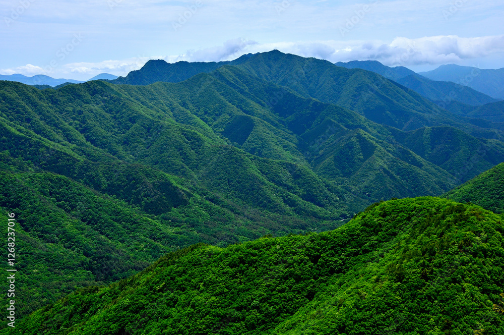 Fototapeta premium 御坂山地の釈迦ヶ岳山頂より 新緑の十二ヶ岳、雪頭ヶ岳、鬼ヶ岳、節刀ヶ岳を望む