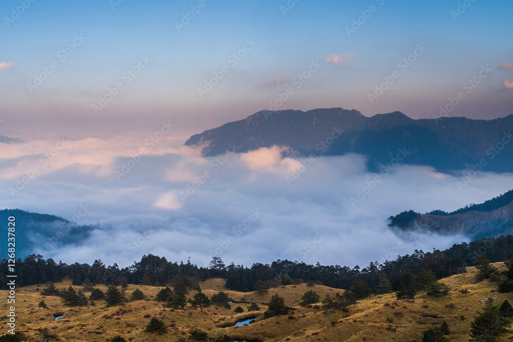 Beautiful view of the cloud sea in Hehuan Mountain Forest Recreation Area of Nantou, Taiwan.