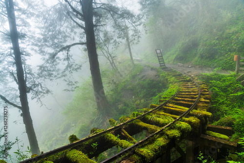 View of the Jancing Historic Trail in Yilan Taipingshan National Forest Recreation Area, Taiwan. photo