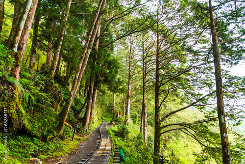 View of the Jancing Historic Trail in Yilan Taipingshan National Forest Recreation Area, Taiwan.