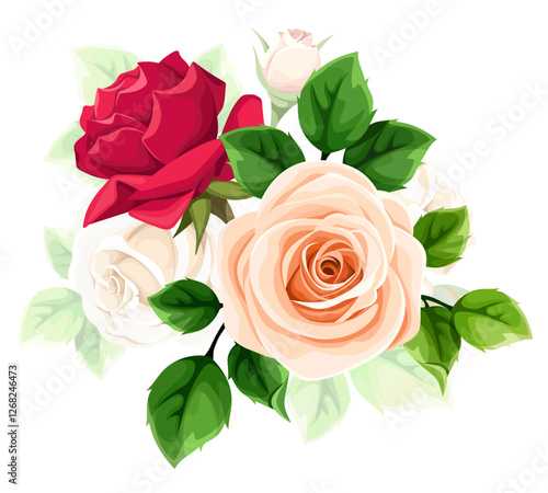 Rose flowers. Red and orange roses isolated on a white background. Vector floral design element