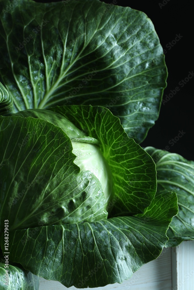 Obraz premium Whole ripe head of cabbage in crate on dark background, closeup