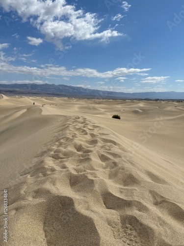footprints in the sand
