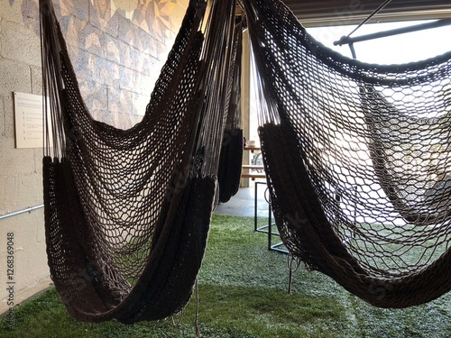 hammock in the garden
