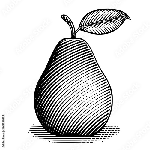 A vintage illustration of an pear on a surface with a leaf and shadow 