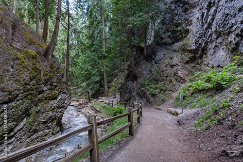 Margaret Falls loop trail with mountain stream near Shuswap lake British Columbia with scenic hiking trail