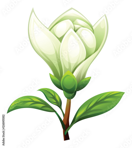 White magnolia flower with leaves, partially open blossom. Vector cartoon illustration isolated on white background