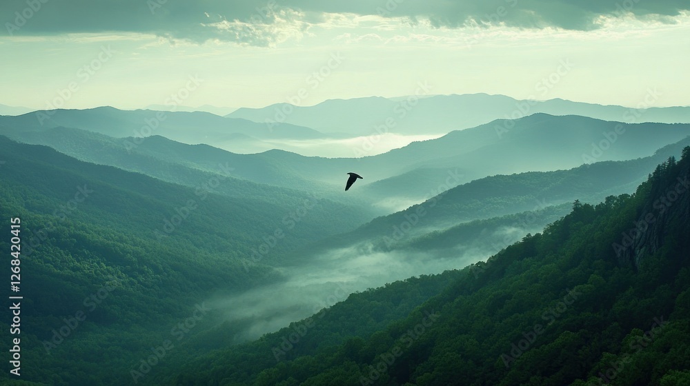 Obraz premium Majestic eagle soars above misty mountain valley at dawn