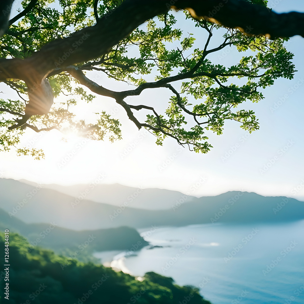 Sunlight Through Tree Branches Over Coastal Mountain View