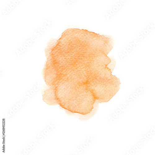 a orange  isolated on white