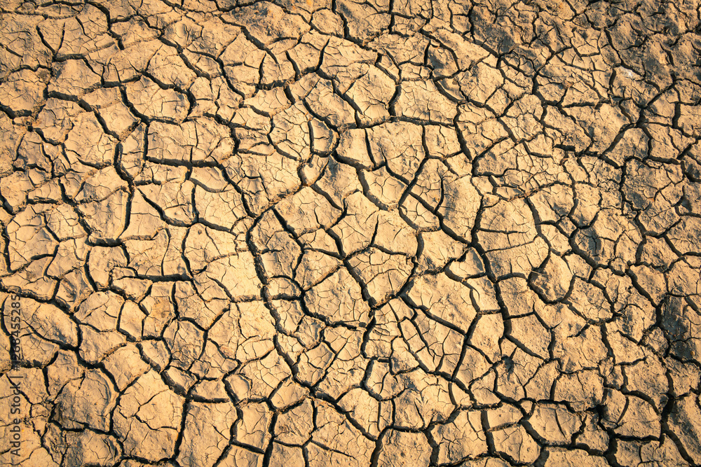 The parched ground reveals the devastating effects of drought in the background. The parched ground reveals the devastating effects of drought in the background.