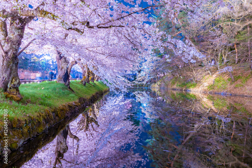 弘前公園の美しい夜桜