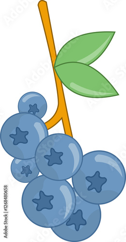 Fruit Illustration