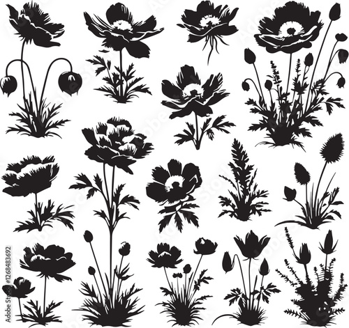 Black Color Rare flowers Silhouette Vector Illustration design, Solid White Background