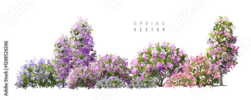 lavender flowers isolated on white, Vertor set of spring blossom tree,blooming plants side view  for landscape elevation and section,eco environment concept design,watercolor shrub,English garden 