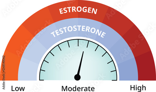 Estrogen Testosterone Meter Science Design Vector Illustration Diagram