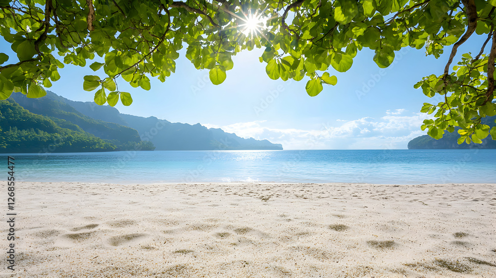 Tranquil Tropical Beach Scene with White Sand and Blue Ocean Tranquil Tropical Beach Scene with White Sand and Blue Ocean