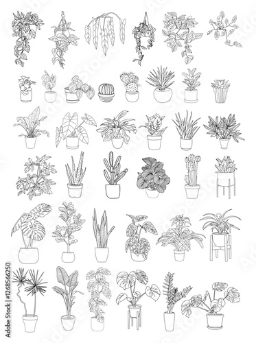 Set of Houseplants outline drawings. Bundle of Indoor exotic flowers in pots line art. Monstera, aloe, hanging plant for home interior plans, design. Vector illustrations on transparent background.