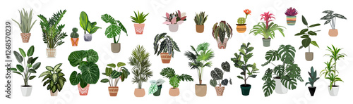 Different house plants set. Monstera, yucca, dracaena, palm, philodendron, alocasia indoor potted plants collection. Vector realistic illustrations isolated on transparent background
