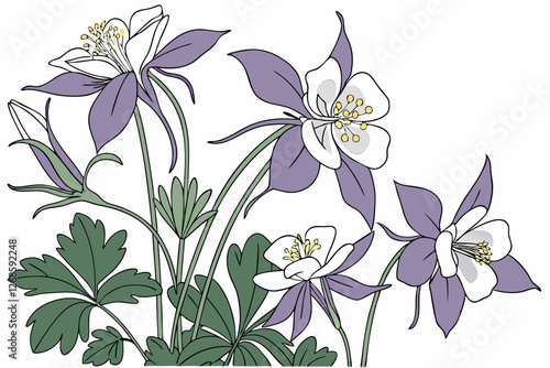 Clusters of Colorado columbines in shades of purple and white.