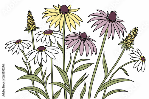 Wildflower mix of daisies, black-eyed Susans, and purple coneflowers.