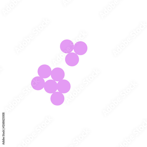 staphylococcus aureus bacteria