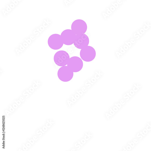 staphylococcus aureus bacteria