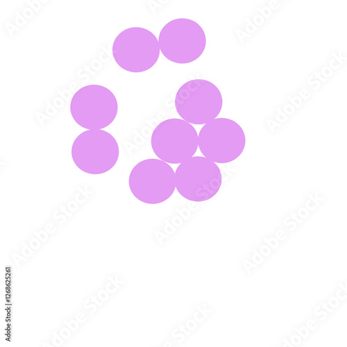 staphylococcus aureus bacteria