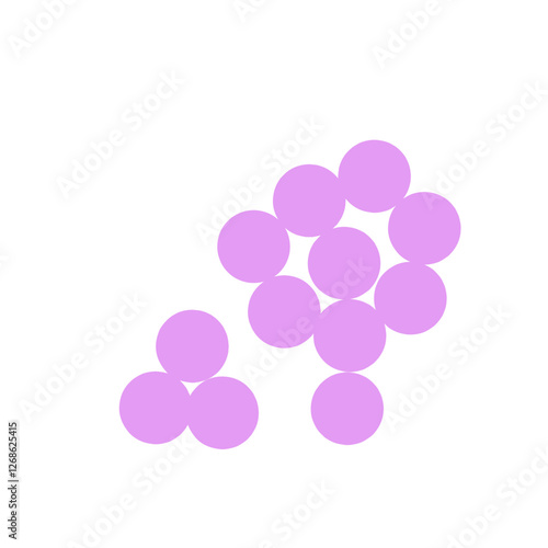 staphylococcus aureus bacteria