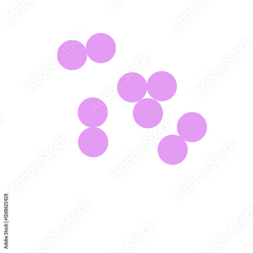 staphylococcus aureus bacteria