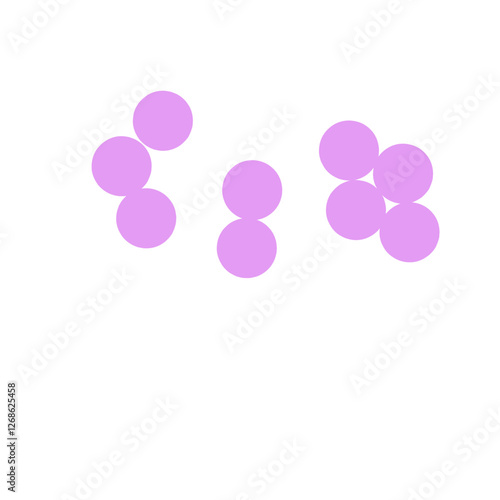 staphylococcus aureus bacteria