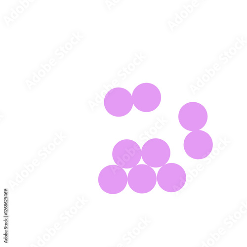 staphylococcus aureus bacteria